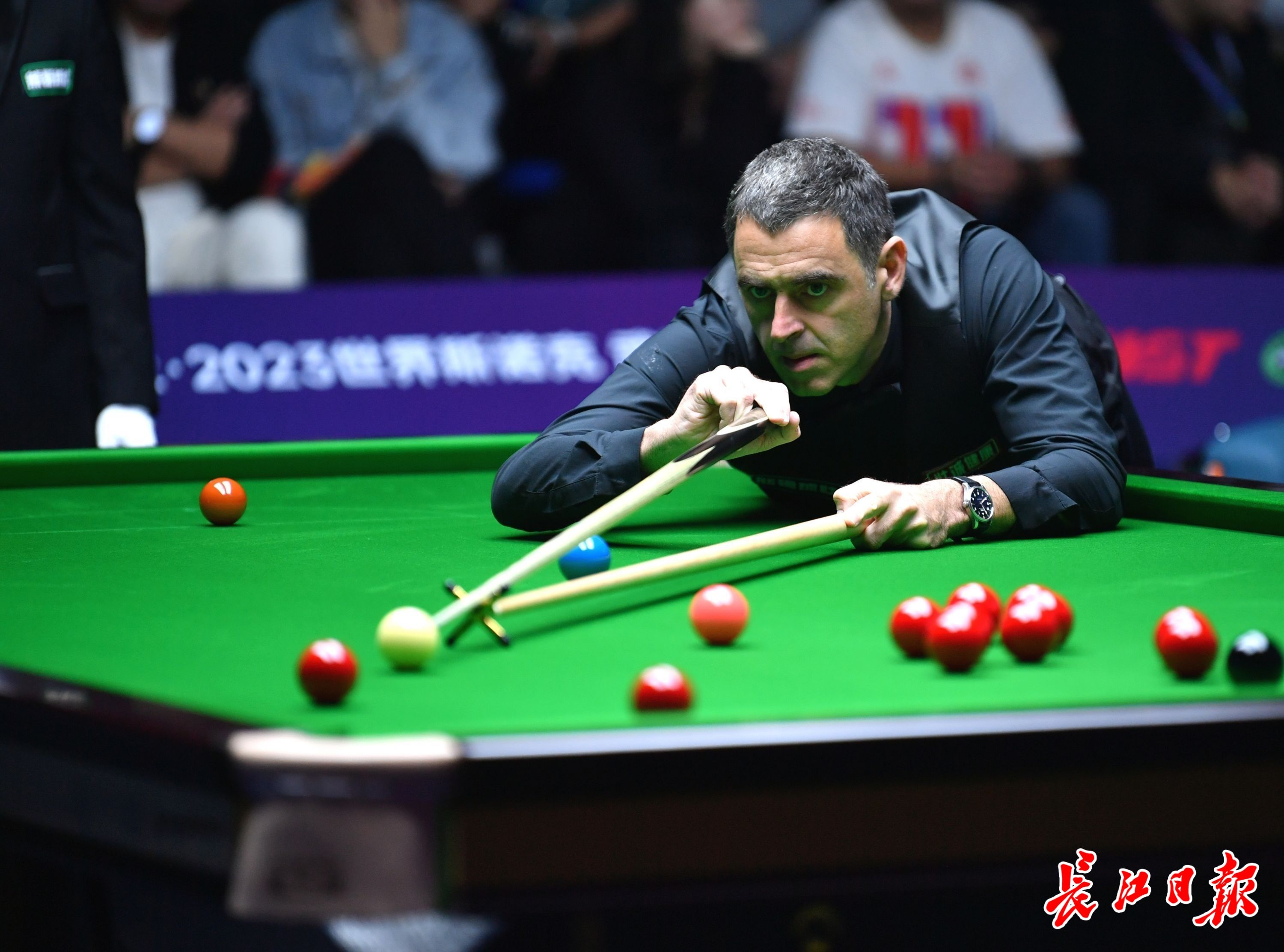 能放大陈盈 能放大陈盈